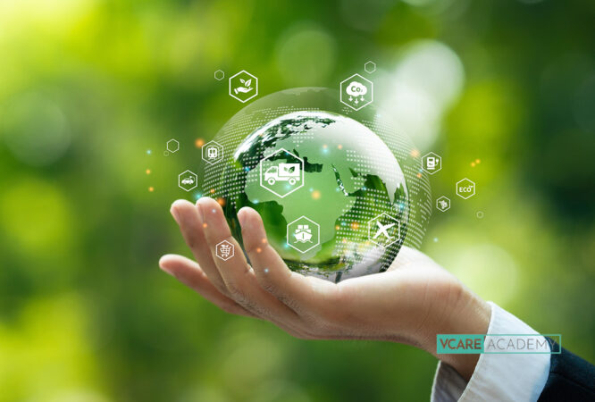 Masterclass Supply Chain Sustainability v2